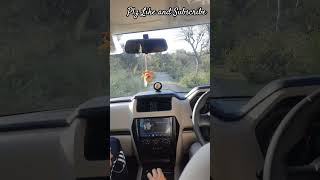 Scorpio Fun to Driving Videos | Scorpio Driving Status #Fun #shorts #ndnsupershorts #Scorpio #Heriya