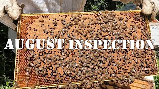 August 2023 Inspection | #colesfarmnc #jacksonvillenc #beekeeping