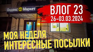 Я сошел с ума. Моя неделя. Влог 23