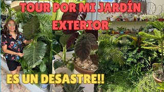 MI JARDÍN ES UN DESASTRE! Te muestro mi SELVA DEL FRENTE!#jardín#plantas#tour#cuidados#