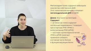 Основы генетики и эпигенетики. Что это и как работает