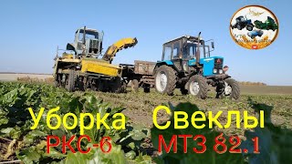 Уборка сахарной свеклы и камбаины РКС-6 и ВМ-6В и МТЗ 82.1🔴БУКСУЕТ🔴