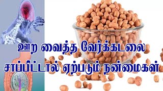 ஊற வைத்த வேர்க்கடலை சாப்பிட்டால் ஏற்படும் நன்மைகள் | Top Health Benefits of Groundnuts | peanut