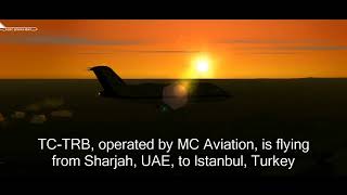 MC Aviation TC-TRB - Crash Animation