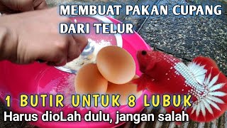 CARA MENGOLAH TELUR AYAM || untuk Pakan ikan cupang