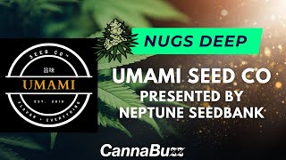 Nugs Deep with Umami Seed Co & Neptune Seedbank