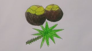 Palm fruits art|easy drawing palm|step by step |তাল আকার সহজ পদ্ধতি|তাল আকা#fruit #drawing#art