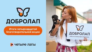 Итоги 14-й благотворительной акции "Добролап"