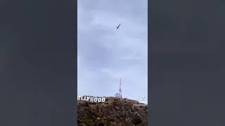 Hollywood sign changes to hollyboob