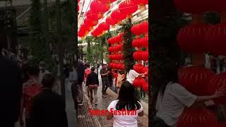 Sydney Lunar Festival #lunarnewyear #sydney