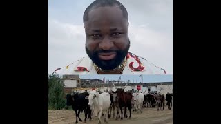 Singer Harrysong Addresses Cows As "Sirs", "Senior Citizens of Nigeria''