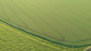 Aerial top view of the green field.