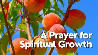 A Prayer for Spiritual Growth | Your Daily Prayer