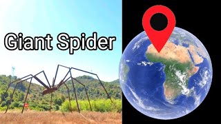 Giant spider in real on google earth and google maps part-2