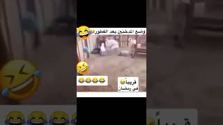 وضع المدخنين بعد الفطور #shorts