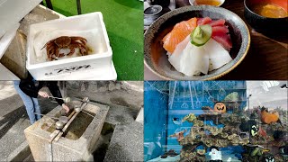 【Vlog#2】名古屋魚市場 - 柳橋中央市場｜CP值超高生魚片丼飯✨｜神社正確參拜順序這樣做‼️