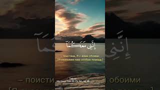 Сказал Аллах Мусе и Харуну|Та Ха #Allah1 #сунна #koran #quran #muslimin #намаз #заметки