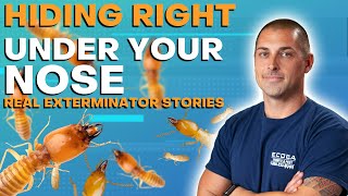 Termites Hide Right Under your Nose | Real Exterminator Stories