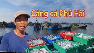 79 : Cảng cá Phú Hài  Phan Thiết