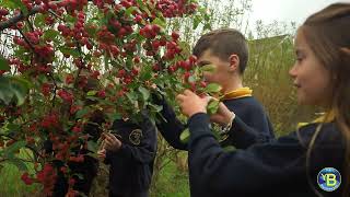 [Documentary] Ysgol Gynradd Bontnewydd