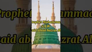 Prophet Muhammad S.A.W say about hazrat Ali a.s.#islam #youtubeshorts ##islamicstatus #allah#limelig