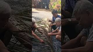 Nghiên cứu sâu về d.ịch b.ệnh sâu đầu đen #võ_quang_sơn #coconut #shortvideo