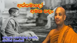 අප්‍රමාදිව කුසල් දහම් හි යෙදීම l Ven.Borelle Kovida Thero l Sadhdharma Yaathra 2021