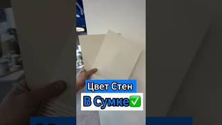 🔥Цвет стен В сумке✅