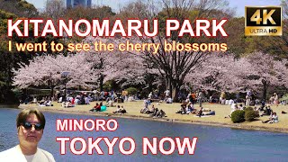 [4K] Kitanomaru Park, Cherry Blossom 04/02/2022 | 北の丸公園 TOKYO NOW