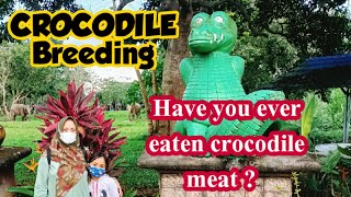 CROCODILE BREEDING , Have You Eaten Crocodile Meat ? // PENANGKARAN BUAYA // SATE BUAYA.....