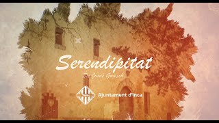 SERENDIPITAT PROMO IEB