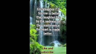 Sorrow is better than laughter: for by the sadness of the countenance the heart is made better