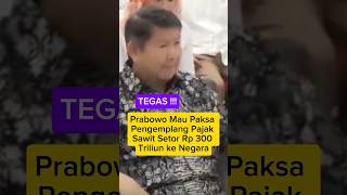 Prabowo Mau Paksa Pengemplang Pajak Sawit Setor Rp 300 Triliun ke Negara