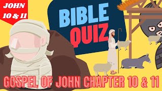 Bible Quiz New Testament - 20 Bible Questions From The New Testament.  [Gospel of John 10 and 11]