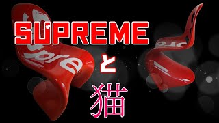 Supremeシュプリームと猫、大好き！！