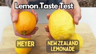 Meyer Lemon vs New Zealand "Lemonade" Lemon!  🍋🍋  Taste Test Comparison! 🍋🍋