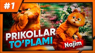 ENG ZO'R KULGULI PRIKOL VIDEO😁 // KULAVERIB ICHAKLARINGIZ UZILIB KETADI🤣 // MUSHUKVOY NAJIM 😹