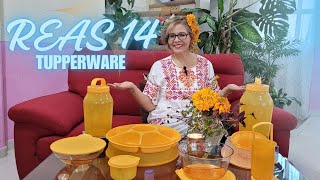 REAS Tupper Tips #14 2024🍊🧡|| TUPPERWARE