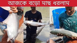 আজকে অনেক বড়ো বড়ো মাছ ধরলাম দীঘি থেকে | Bd Car Vlogs