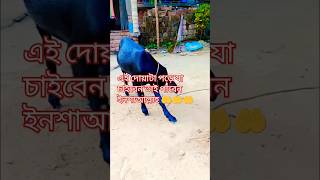 এই দোয়াটা পড়ে যা চাইবেন তাই পাবেন#shorts #vairal#trending waz#doya#islamicvideo 🤲🤲🤲🤲