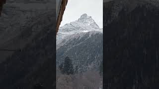 Dead Peak | Nature Enthusiast | #shorts #asmr #oddlysatisfying