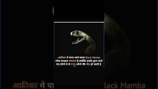 omg😮 डेंजरस स्नेक🐍#facts #gk #currentaffair #viral #gyan #animals #snake #trendin #shortsfeed