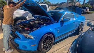 BUYING My Dream CAR… Grabber Blue Shelby GT 500