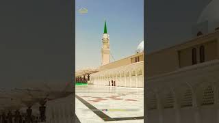 Heart Touching Kalam | Masjid e Nabawi Sharif | Md Zeeshan Official | #shorts #ytshorts #viral