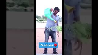 Prabhas planting plant | Green India challenge #shorts