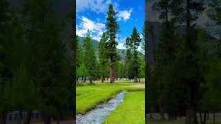 beautiful heart touching green and silent place and mountains view