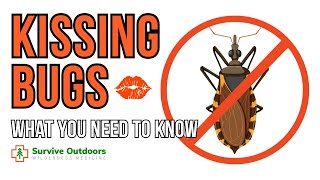 Should We be Concerned about CHAGAS DISEASE?