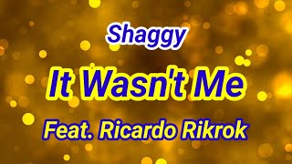 It Wasn't Me - Shaggy Feat. Ricardo Rikrok Lyrics