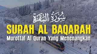 SURAH AL BAQARAH | Setan Kabur dari Rumah | Penenang Hati dan Pikiran | Ahmad Samih