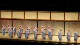 gion cherry blossoms 1.AVI